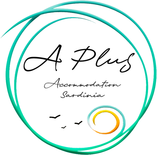 Logo A Plus